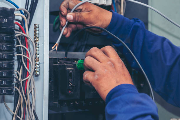 Best Local Electrician Companies  in Attica, MI